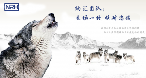 樱桃视频APP在线观看的团队精神